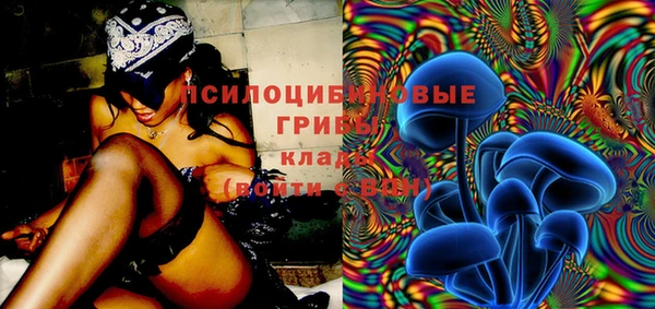 ECSTASY Алексеевка