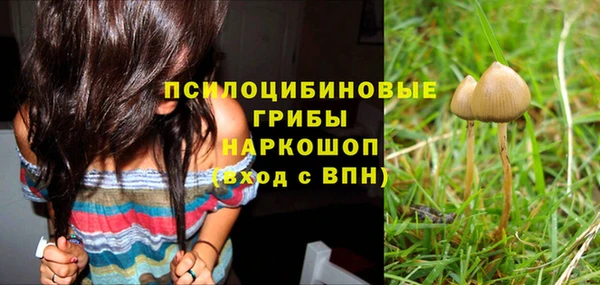 ECSTASY Алексеевка