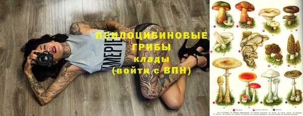 синтетический гашиш Алексин