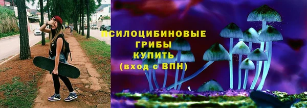 прущая мука Алзамай