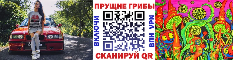 Галлюциногенные грибы Cubensis  Арзамас 